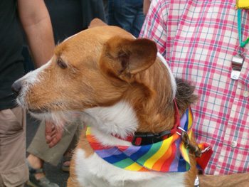 Le foto del Torino Pride 2009