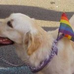 World Pride Roma 2006 - Thumbnail
