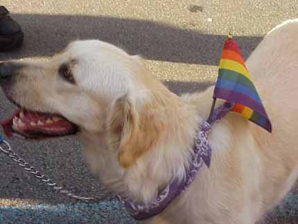 World Pride Roma 2006