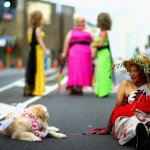 Pride in Nuova Zelanda: le immagini della manifestazione di Auckland - Thumbnail