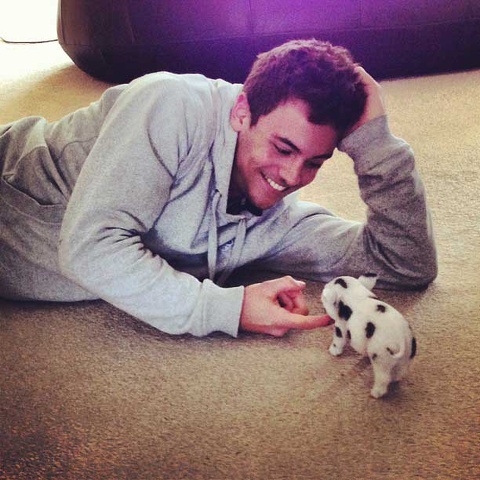 Tom Daley ha compiuto 19 anni: eccolo sexy, tenero e atletico