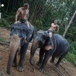 es thai1 - Thumbnail
