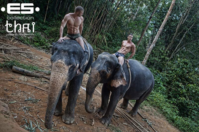 es thai1