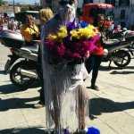 Palermo Pride 2014 - Thumbnail