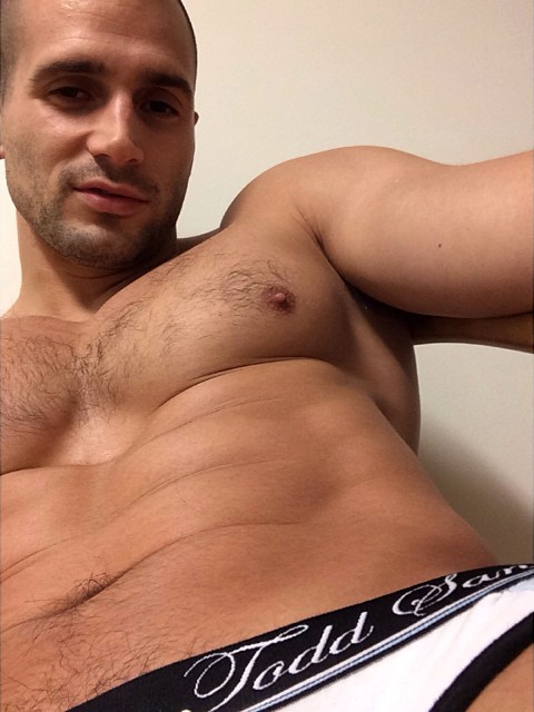 sanfield1