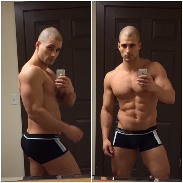 sanfield1