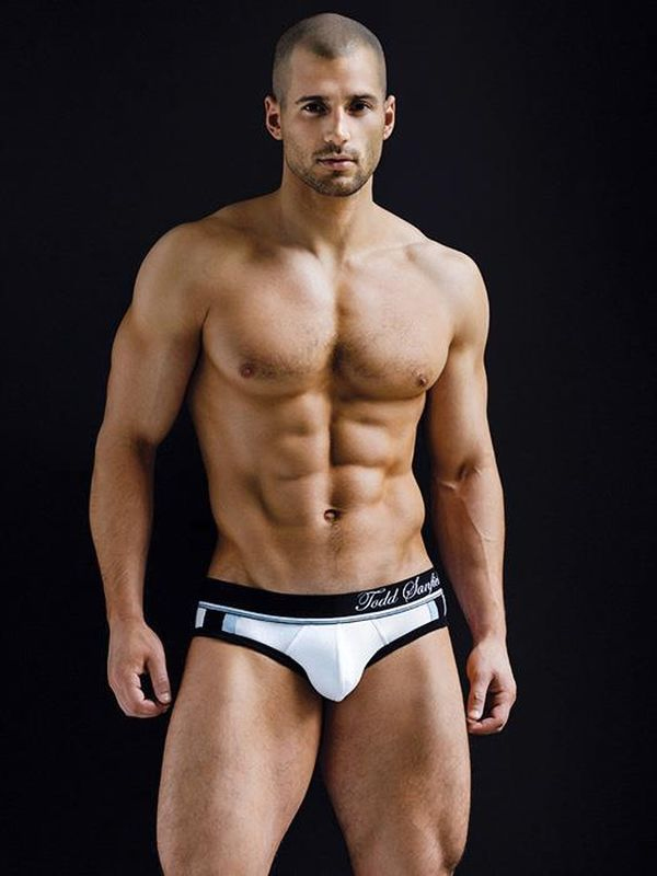 sanfield1