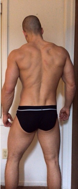 sanfield1
