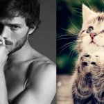31 star sexy e 31 gattini che le imitano - Thumbnail