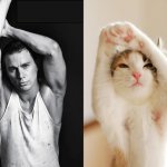 31 star sexy e 31 gattini che le imitano - Thumbnail