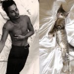 31 star sexy e 31 gattini che le imitano - Thumbnail