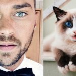 31 star sexy e 31 gattini che le imitano - Thumbnail