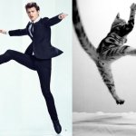 31 star sexy e 31 gattini che le imitano - Thumbnail
