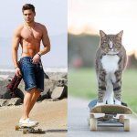 31 star sexy e 31 gattini che le imitano - Thumbnail