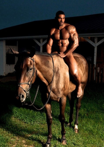 Cosa c'è di più sexy di un uomo e un cavallo?