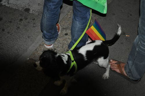 Il Micropride dell 8 settembre 2009 - 12928 fiaccolatamilano 10 - Gay.it