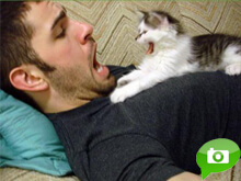 I ragazzi della rete che fanno le fusa - cuteboyswithcatsBASE - Gay.it