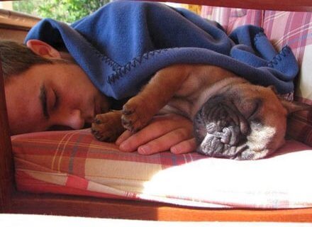Uomini e i loro cani - uomini e caniBASE - Gay.it