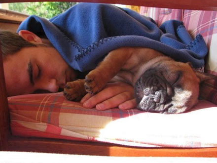 Uomini e i loro cani - uomini e caniBASE - Gay.it