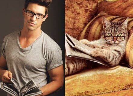 Gatti in posa, come i modelli, gli attori e gli sportivi famosi - uomini e gattiBASE - Gay.it