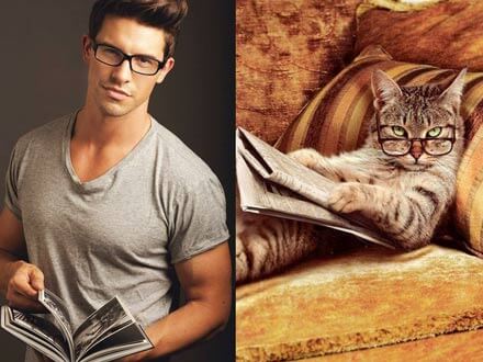 Gatti in posa, come i modelli, gli attori e gli sportivi famosi - uomini e gattiBASE - Gay.it