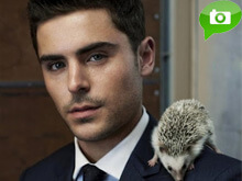 Zac Efron e gli animali. L'attore fra ricci, uccelli e volpi - zacanimal - Gay.it
