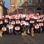 #LoStessoSì: tutte le foto dalle Piazzate d'Amore - Thumbnail