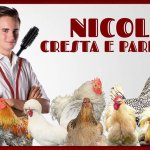 Masterchef, il twink Nicolò Prati annuncia "Ecco la mia nuova fiamma" - Thumbnail