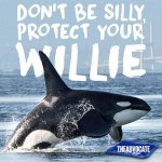 Sesso sicuro: la GALLERY con gli slogan più divertenti - Thumbnail