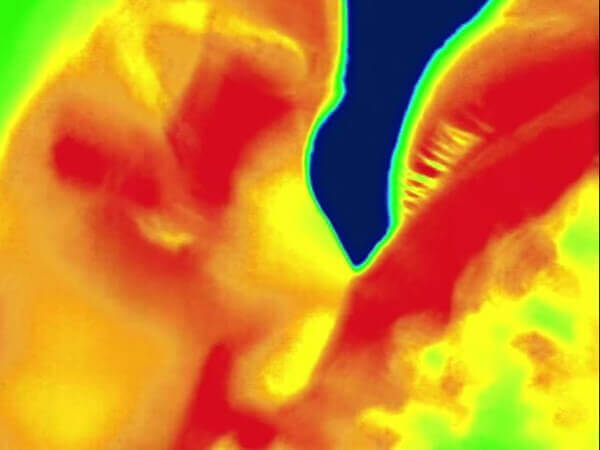 Il video del pride di Praga e la temperatura dell’amore