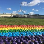 In Australia patate rainbow per i matrimoni gay - Thumbnail