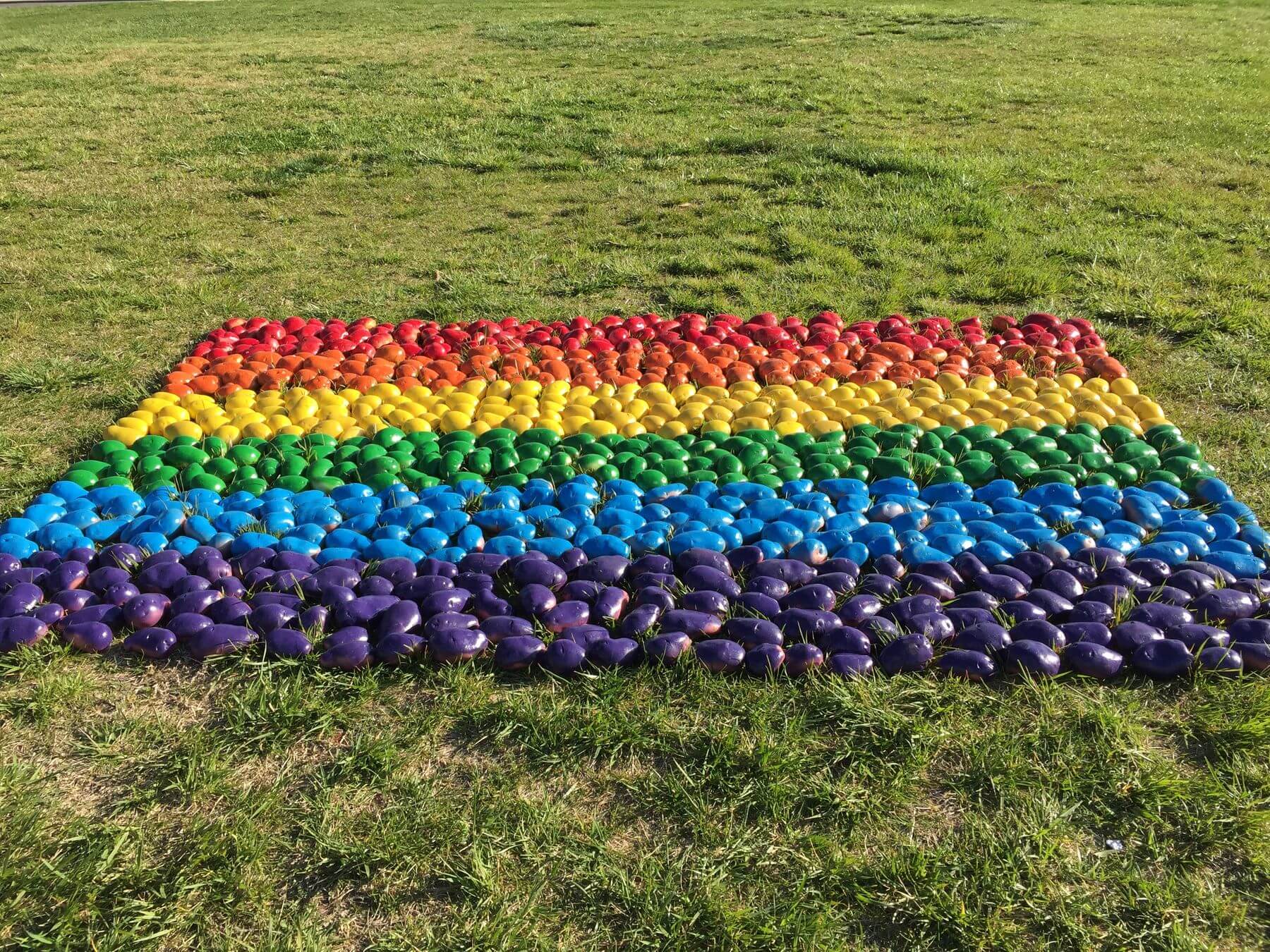In Australia patate rainbow per i matrimoni gay