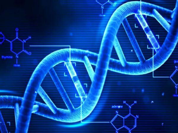 E’ l’epigenetica a determinare se si è gay e si può prevedere