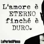 le_perle_di_pinna - Thumbnail