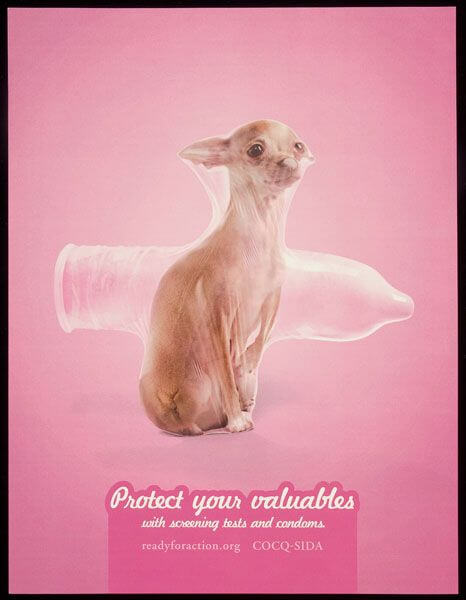campagna_hiv_condom_cane
