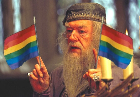 "Meglio affogare i bambini che fargli leggere la propaganda gay di Harry Potter"