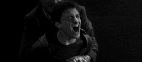 "Meglio affogare i bambini che fargli leggere la propaganda gay di Harry Potter"