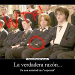 "Meglio affogare i bambini che fargli leggere la propaganda gay di Harry Potter" - Thumbnail