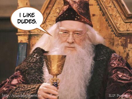 "Meglio affogare i bambini che fargli leggere la propaganda gay di Harry Potter"