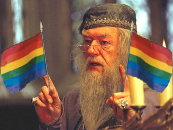 "Meglio affogare i bambini che fargli leggere la propaganda gay di Harry Potter" - harry potter gay base - Gay.it