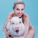 Miley_cyrus_maiale - Thumbnail