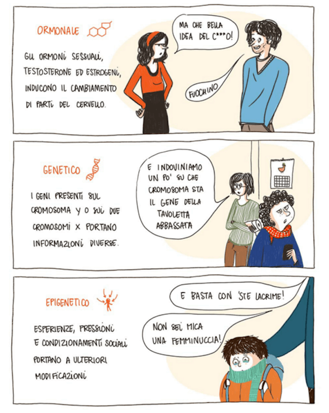 Il cervello è unisex! #educarealledifferenze