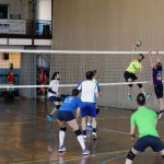 Black Cat, il torneo sportivo gay e friendly di Torino - Thumbnail