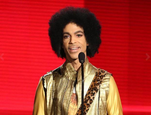 PRINCE_cantante_look
