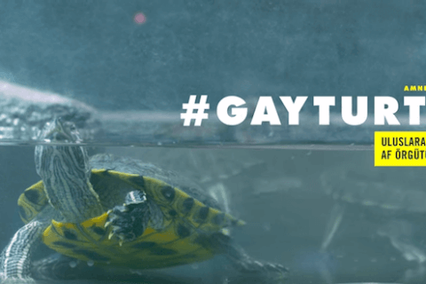 "Gay Turtle": il video pro-LGBTI di Amnesty Turchia - gay turtle turchia - Gay.it