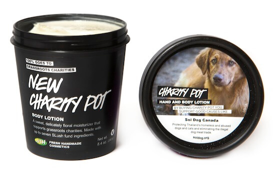 charity_pot_lush