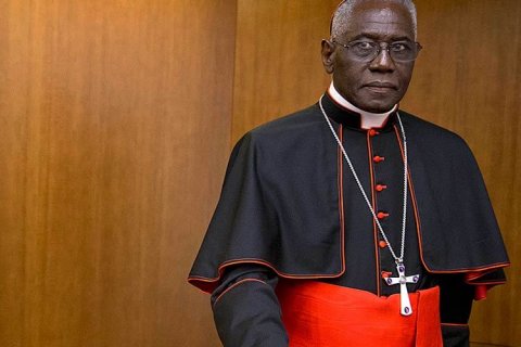 Il cardinale Robert Sarah insulta la comunità LGBTI - robert sarah omofobo - Gay.it
