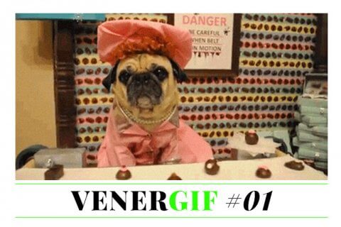 VENERGIF #01 - Come sopravvivere al venerdì - cover venergif - Gay.it