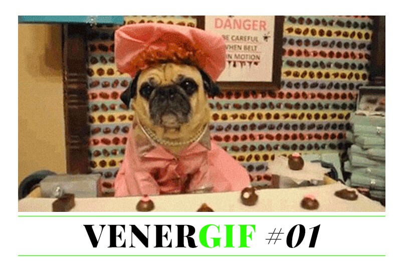 VENERGIF #01 – Come sopravvivere al venerdì