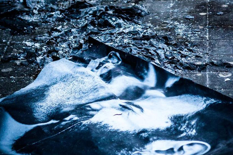 Vandalismo omofobo contro i 49 baci per Orlando: bruciati in Sardegna i ritratti fotografici